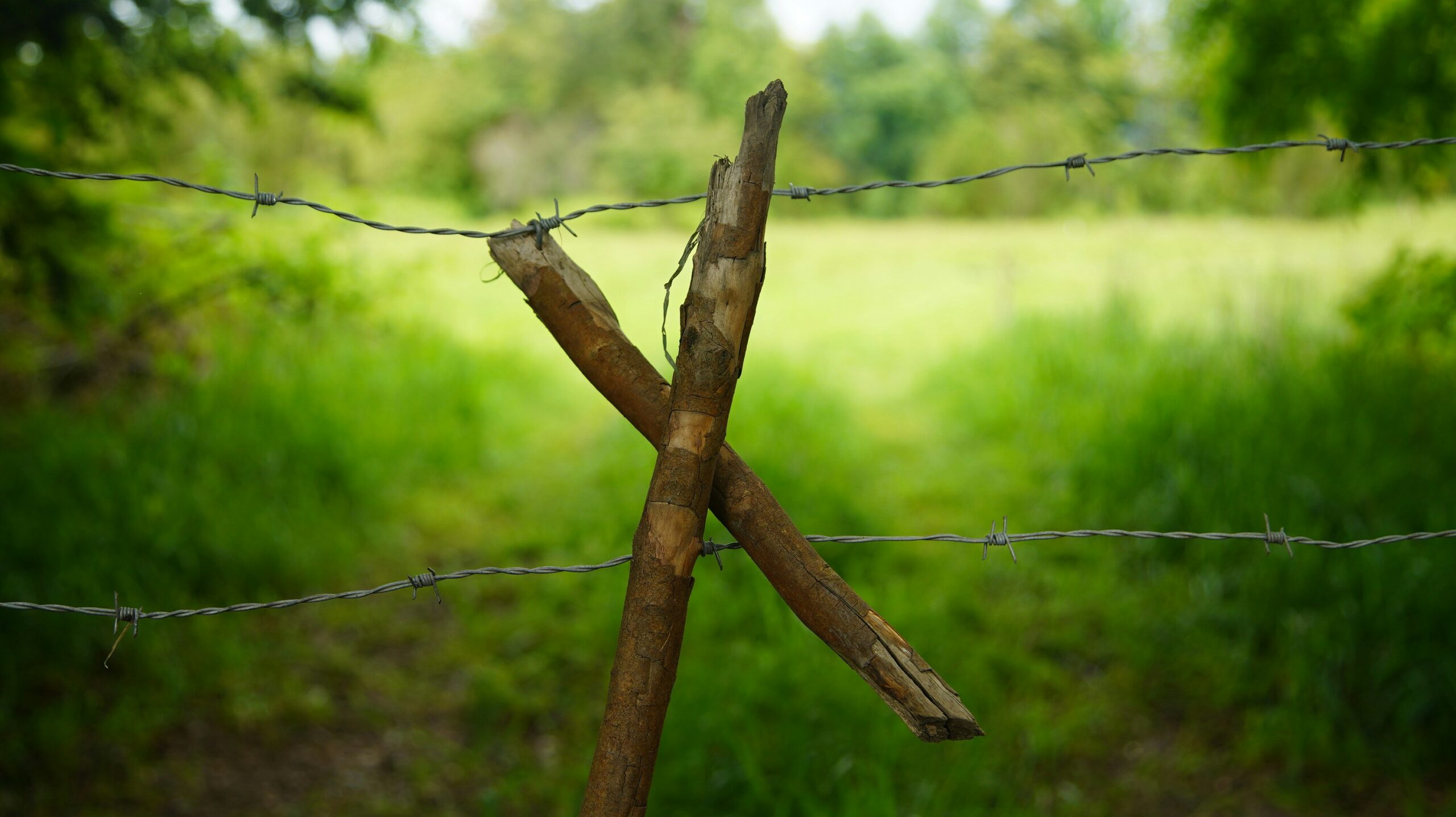 barrière dans la nature, évoquant un blocage émotionnel malgré un travail sur soi